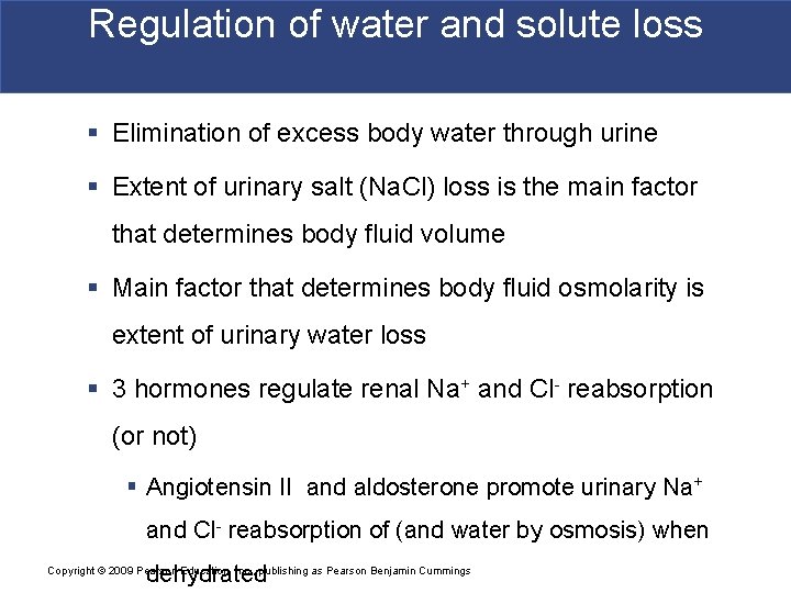 Regulation of water and solute loss § Elimination of excess body water through urine