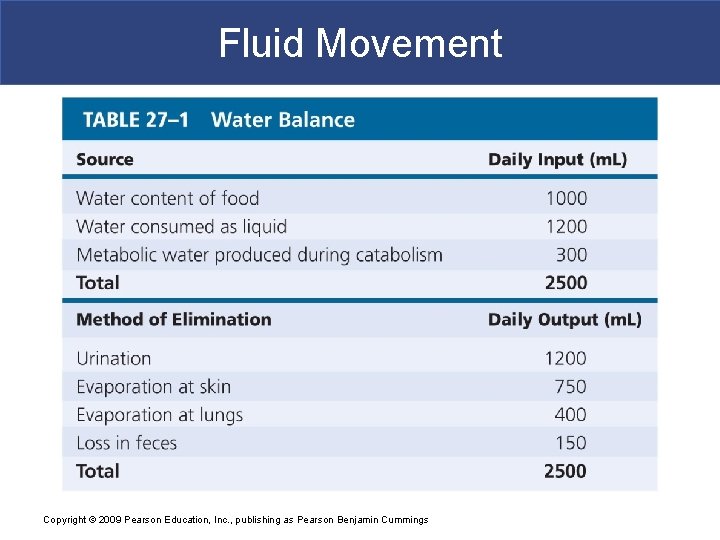 Fluid Movement Copyright © 2009 Pearson Education, Inc. , publishing as Pearson Benjamin Cummings