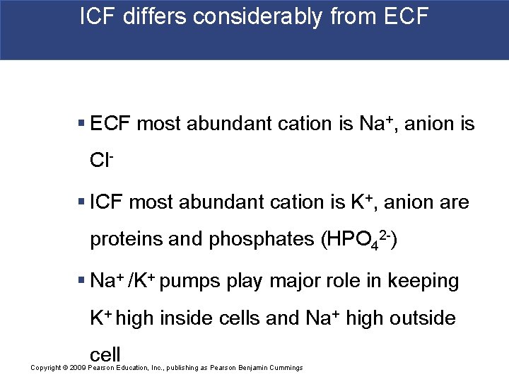 ICF differs considerably from ECF § ECF most abundant cation is Na+, anion is