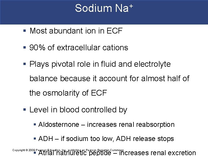 Sodium Na+ § Most abundant ion in ECF § 90% of extracellular cations §