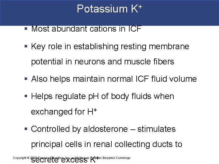 Potassium K+ § Most abundant cations in ICF § Key role in establishing resting