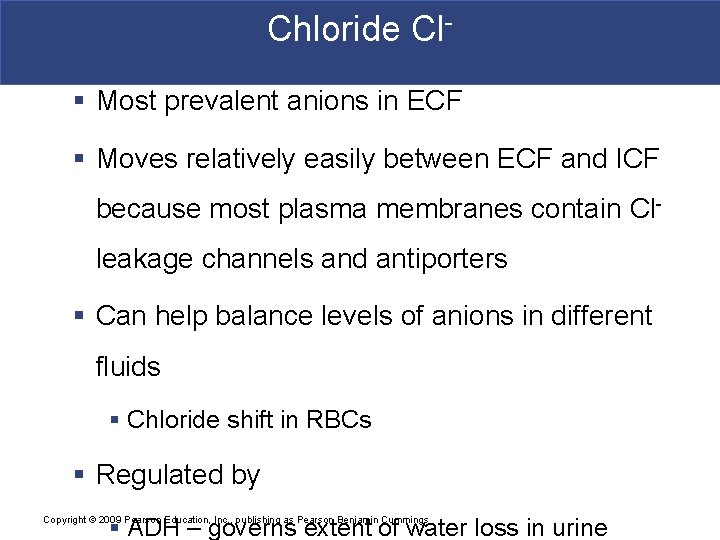 Chloride Cl§ Most prevalent anions in ECF § Moves relatively easily between ECF and