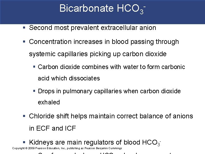 Bicarbonate HCO 3§ Second most prevalent extracellular anion § Concentration increases in blood passing