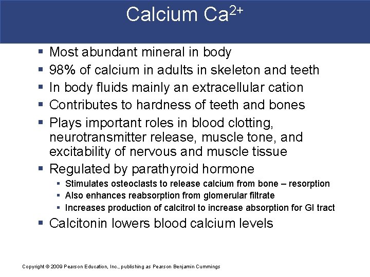 Calcium Ca 2+ § § § Most abundant mineral in body 98% of calcium