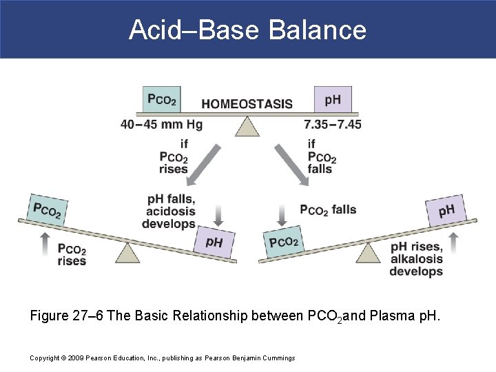 Acid–Base Balance Figure 27– 6 The Basic Relationship between PCO 2 and Plasma p.
