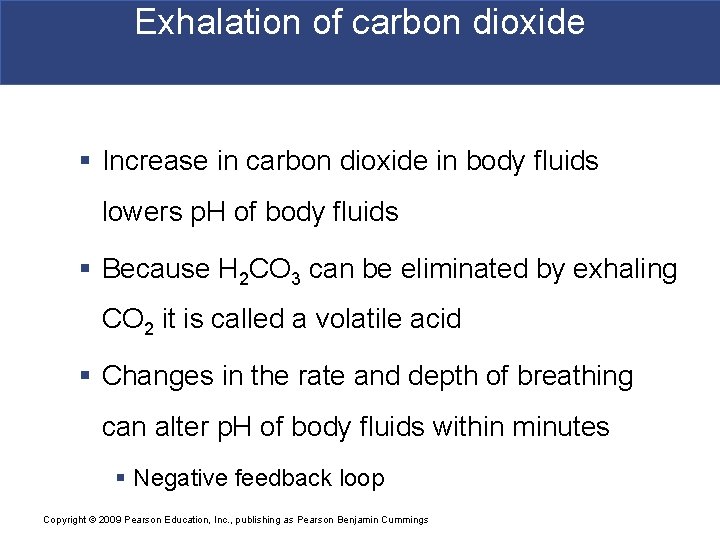 Exhalation of carbon dioxide § Increase in carbon dioxide in body fluids lowers p.