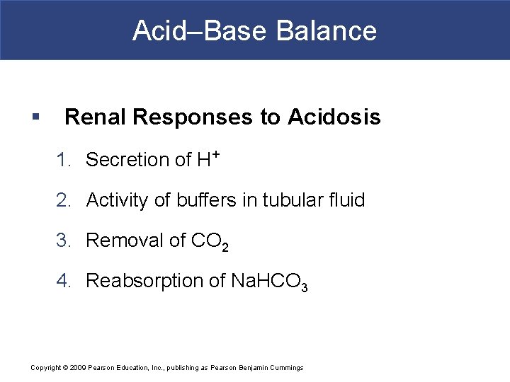 Acid–Base Balance § Renal Responses to Acidosis 1. Secretion of H+ 2. Activity of