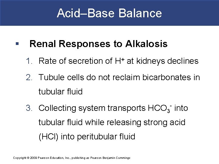 Acid–Base Balance § Renal Responses to Alkalosis 1. Rate of secretion of H+ at