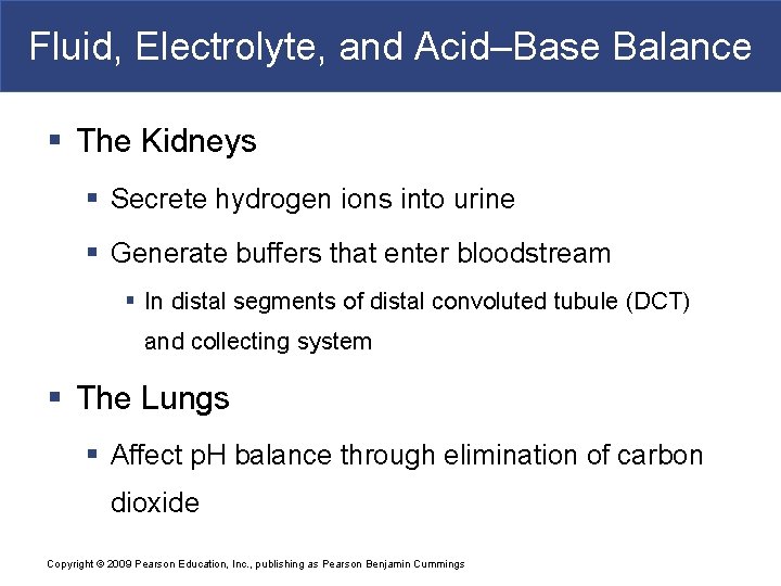 Fluid, Electrolyte, and Acid–Base Balance § The Kidneys § Secrete hydrogen ions into urine