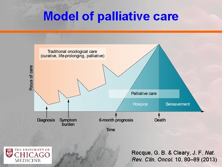Model of palliative care Rocque, G. B. & Cleary, J. F. Nat. Rev. Clin.