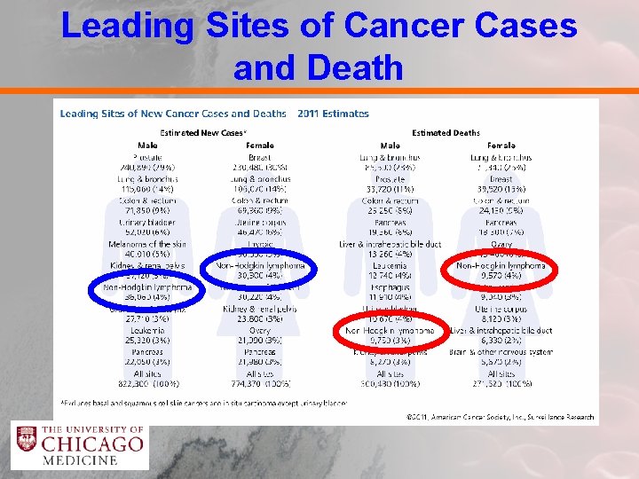 Leading Sites of Cancer Cases and Death 
