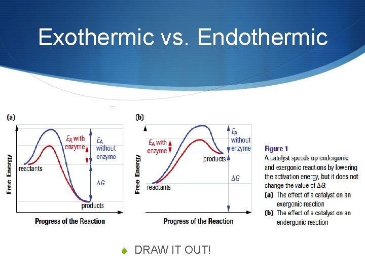 Exothermic vs. Endothermic S DRAW IT OUT! 