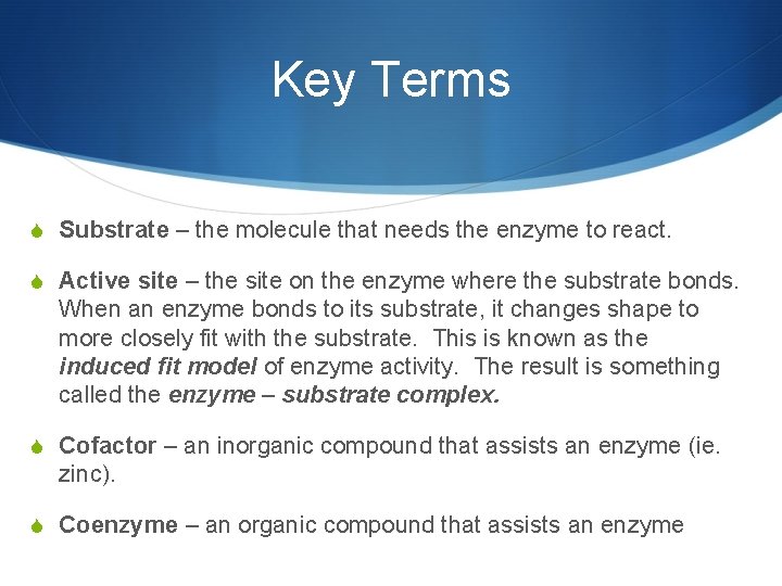 Key Terms S Substrate – the molecule that needs the enzyme to react. S