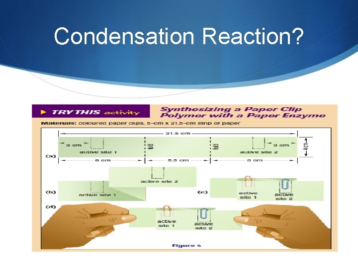 Condensation Reaction? 