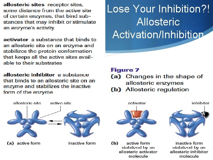 Lose Your Inhibition? ! Allosteric Activation/Inhibition 