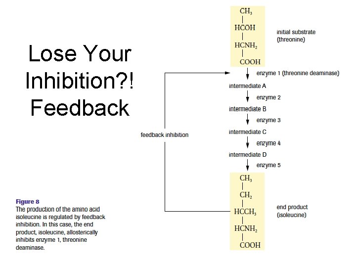 Lose Your Inhibition? ! Feedback 