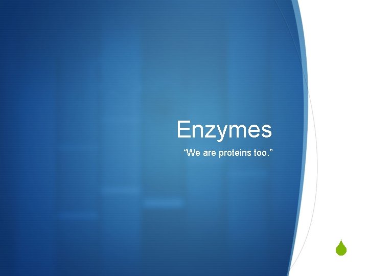 Enzymes “We are proteins too. ” S 
