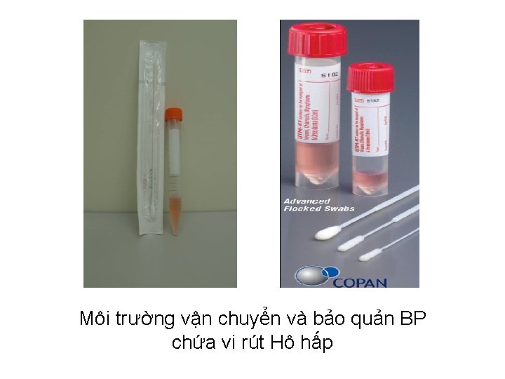 Môi trường vận chuyển và bảo quản BP chứa vi rút Hô hấp 