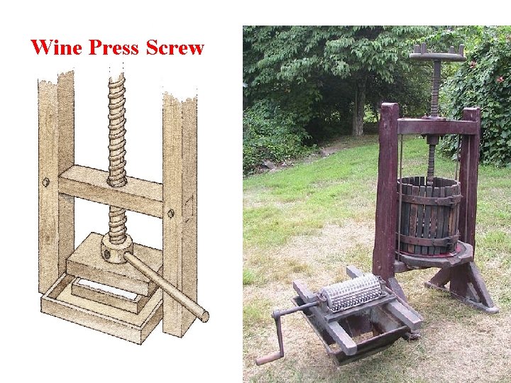 Wine Press Screw 