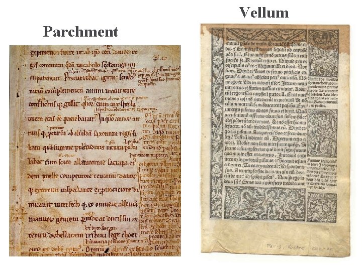 Vellum Parchment 