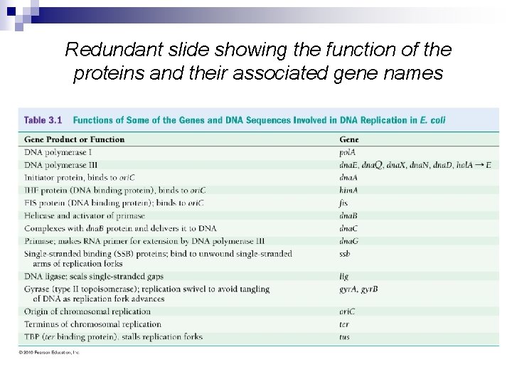 Redundant slide showing the function of the proteins and their associated gene names 