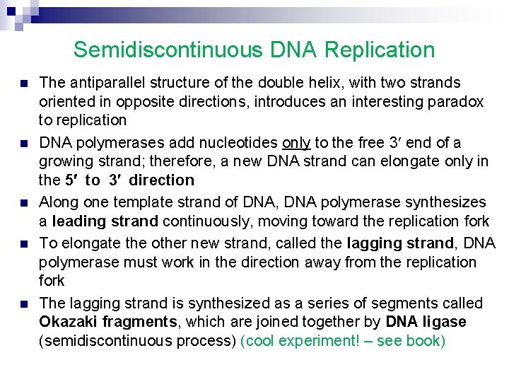 Semidiscontinuous DNA Replication n n The antiparallel structure of the double helix, with two