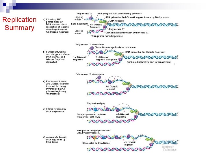 Replication Summary 