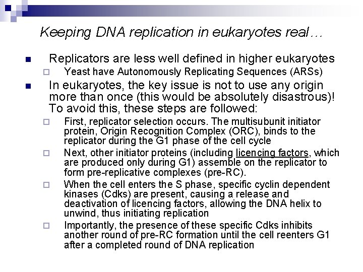 Keeping DNA replication in eukaryotes real… n Replicators are less well defined in higher