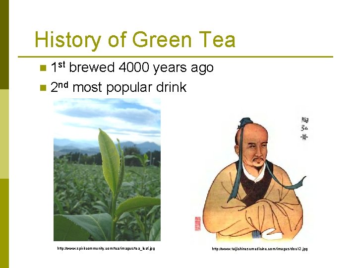 History of Green Tea 1 st brewed 4000 years ago n 2 nd most