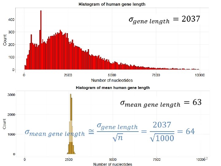 Sampling distribution Repeated samples from a population The
