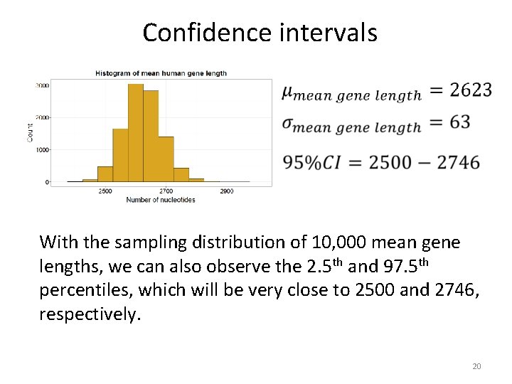 Confidence intervals With the sampling distribution of 10, 000 mean gene lengths, we can