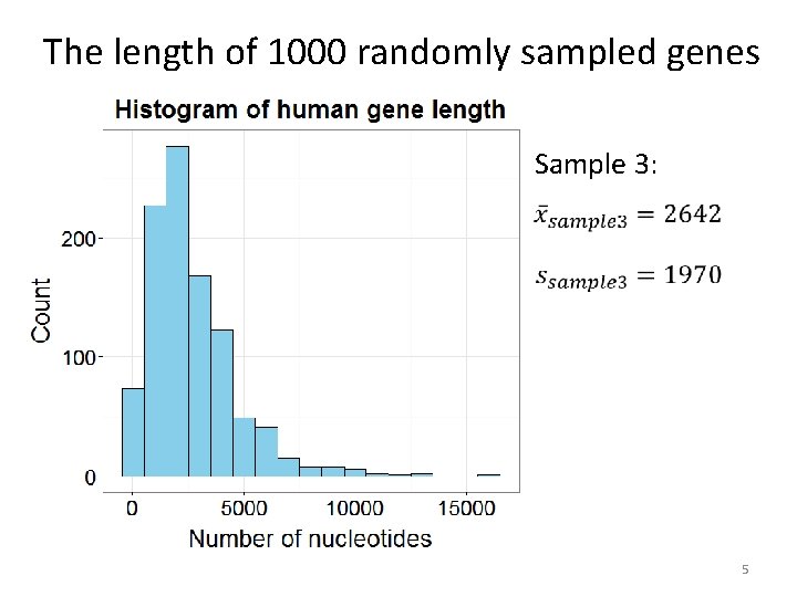 The length of 1000 randomly sampled genes Sample 3: 5 