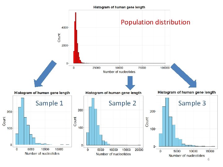 Population distribution Sample 1 Sample 2 Sample 3 6 
