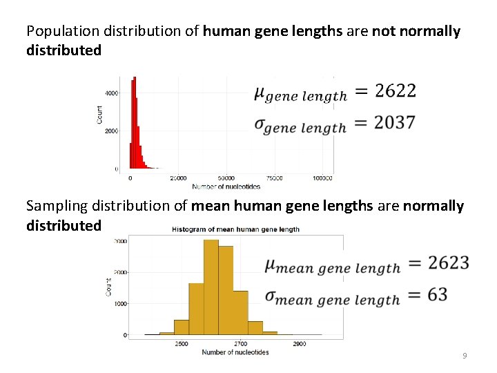 Population distribution of human gene lengths are not normally distributed Sampling distribution of mean