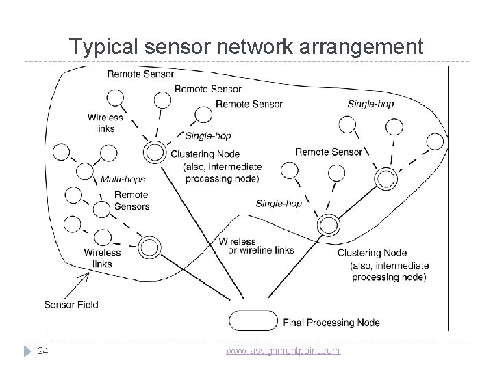 Typical sensor network arrangement 24 www. assignmentpoint. com 