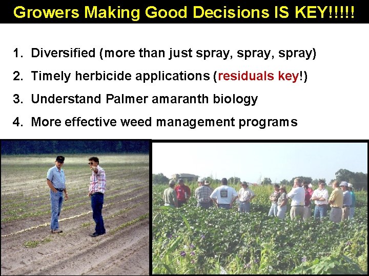 Growers Making Good Decisions IS KEY!!!!! 1. Diversified (more than just spray, spray) 2.