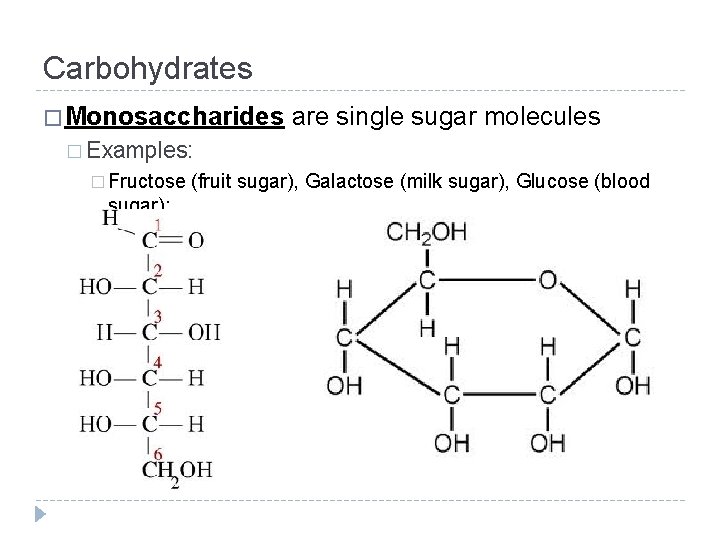Carbohydrates � Monosaccharides are single sugar molecules � Examples: � Fructose sugar): (fruit sugar),
