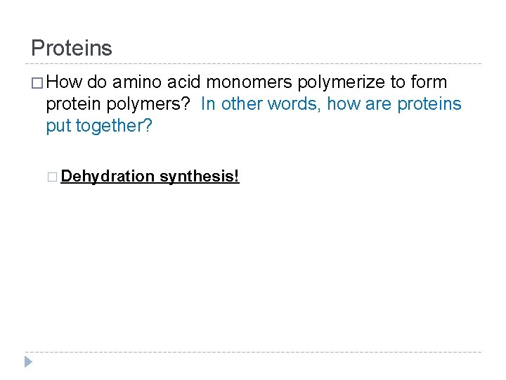 Proteins � How do amino acid monomers polymerize to form protein polymers? In other