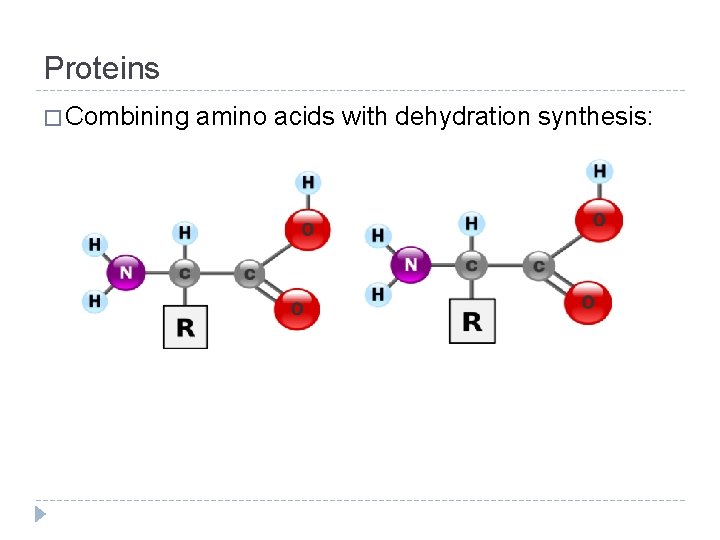 Proteins � Combining amino acids with dehydration synthesis: 