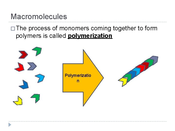 Macromolecules � The process of monomers coming together to form polymers is called polymerization
