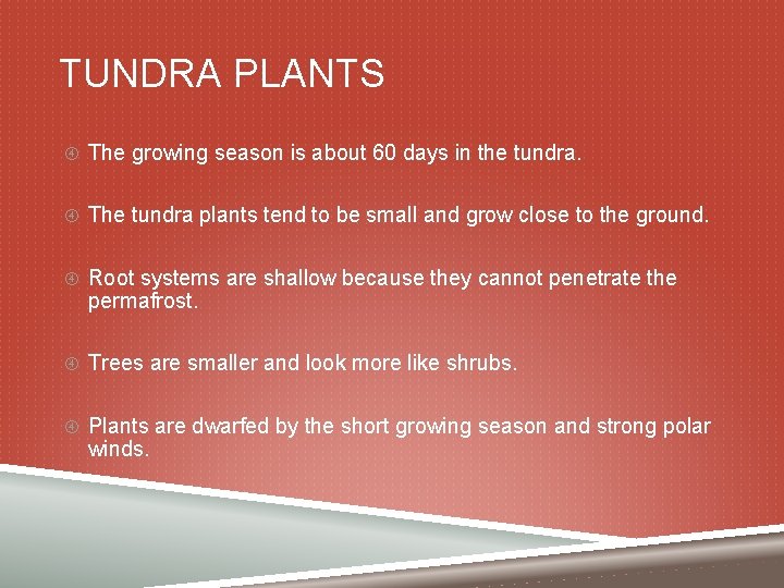 TUNDRA PLANTS The growing season is about 60 days in the tundra. The tundra