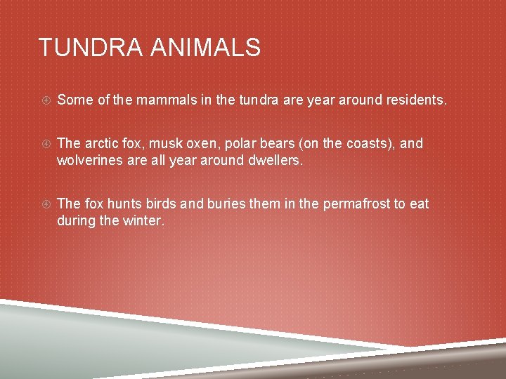 TUNDRA ANIMALS Some of the mammals in the tundra are year around residents. The