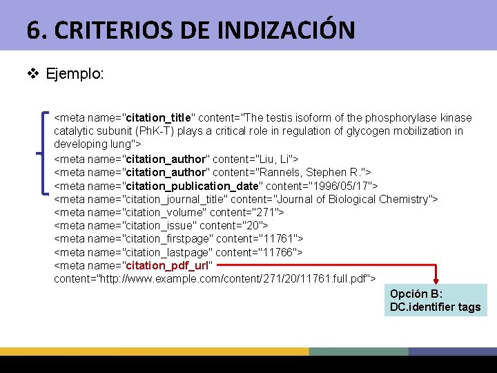 6. CRITERIOS DE INDIZACIÓN v Ejemplo: <meta name="citation_title" content="The testis isoform of the phosphorylase