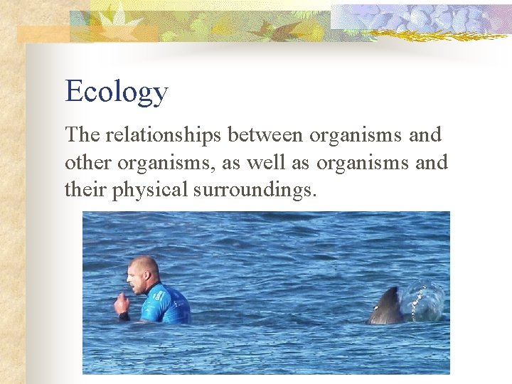 Ecology The relationships between organisms and other organisms, as well as organisms and their