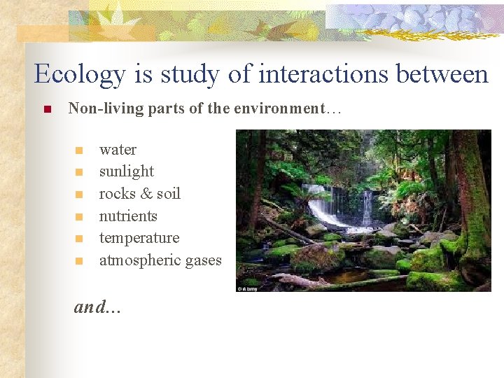 Ecology is study of interactions between n Non-living parts of the environment… n n