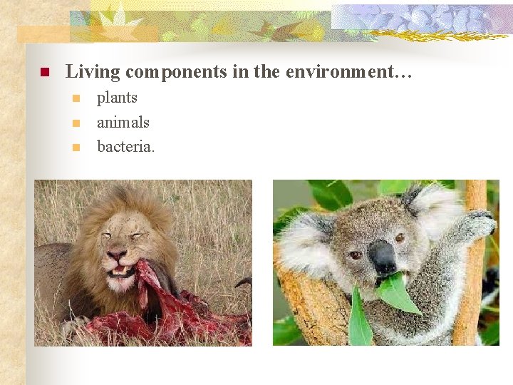 n Living components in the environment… n n n plants animals bacteria. 