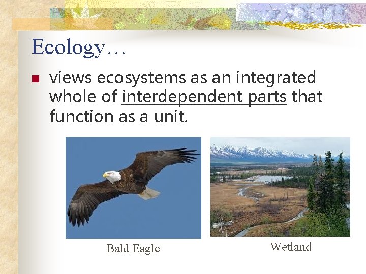 Ecology… n views ecosystems as an integrated whole of interdependent parts that function as