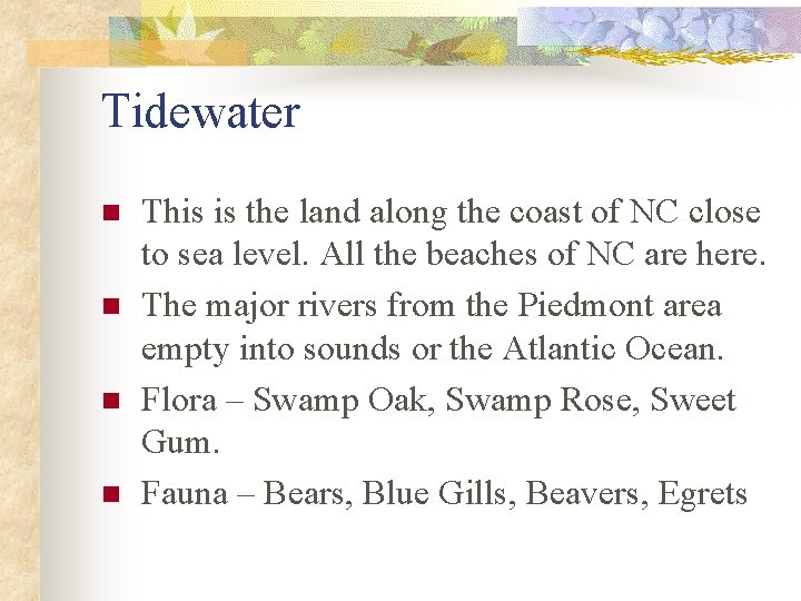 Tidewater n n This is the land along the coast of NC close to