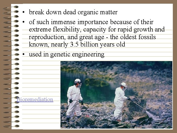  • break down dead organic matter • of such immense importance because of