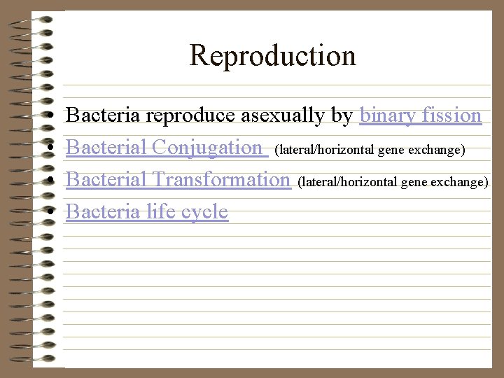Reproduction • • Bacteria reproduce asexually by binary fission Bacterial Conjugation (lateral/horizontal gene exchange)